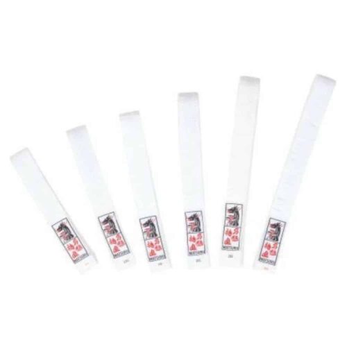 Matsuru Budo Band Wit