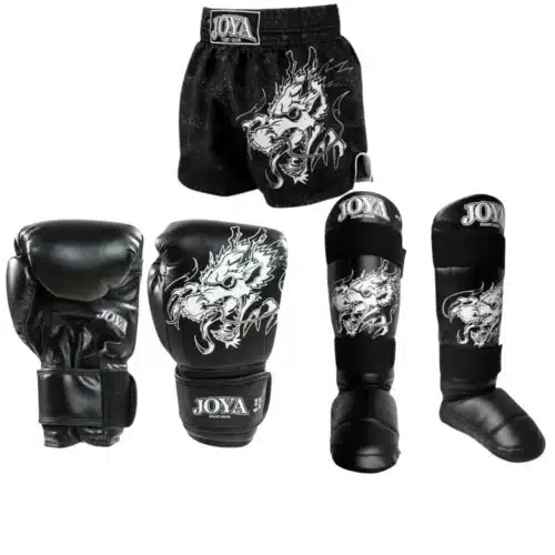 Joya Fight Gear Kickboks Set Kids Dragon Wit