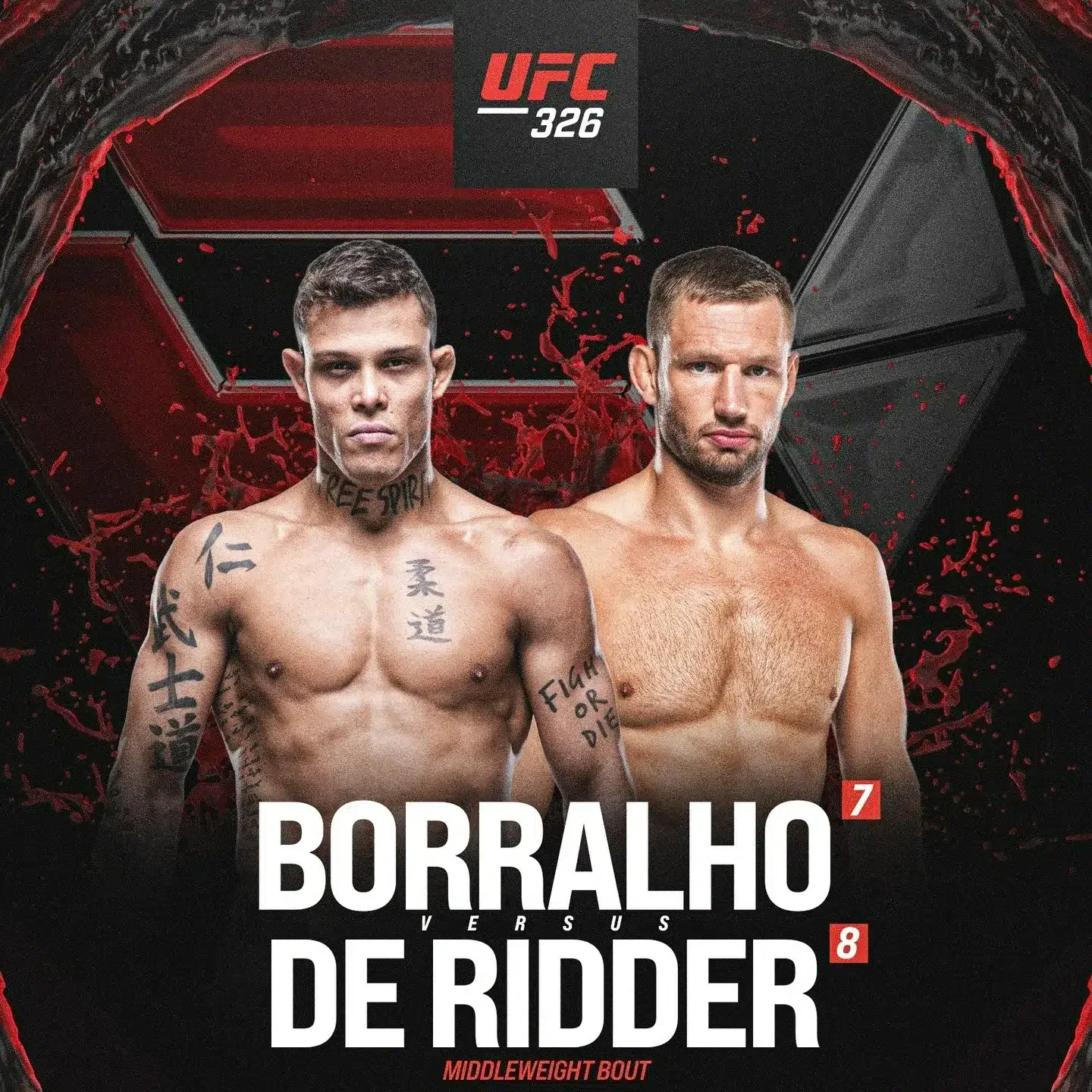 De ridder UFC gevecht