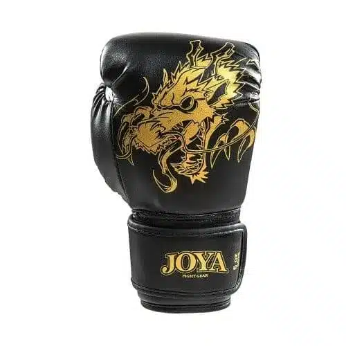 Joya Fight Gear Kickboks Set Kids Dragon Goud